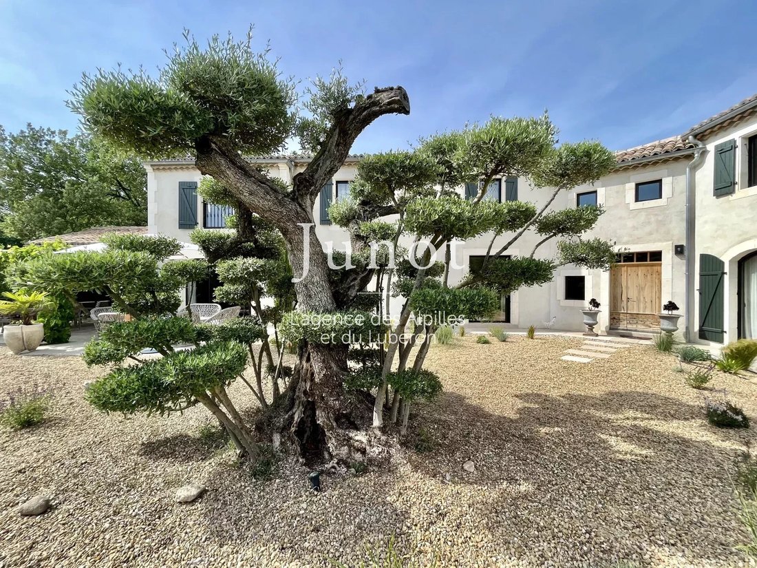 House in Saint-Rémy-de-Provence, Provence-Alpes-Côte d'Azur, France 5 - 13686820