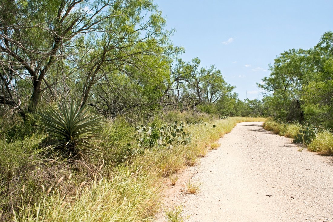 Farm Ranch in Carrizo Springs, Texas, United States 3 - 18531473