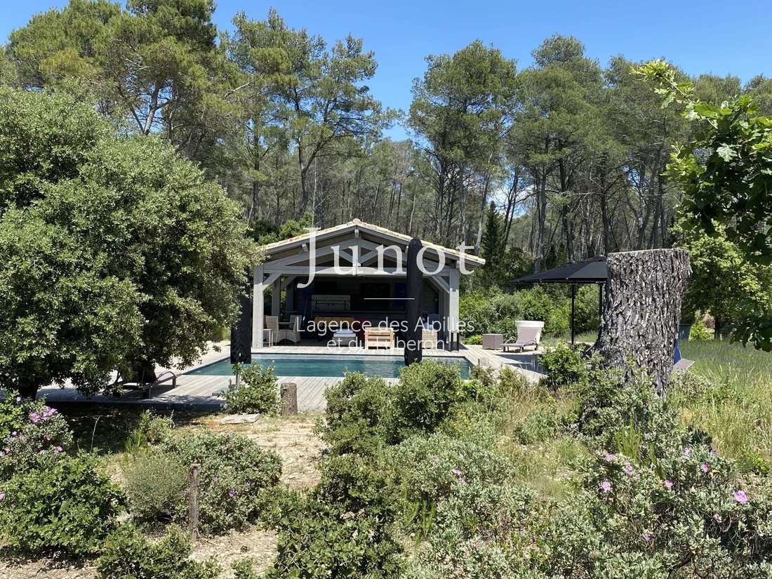 House in Saint-Rémy-de-Provence, Provence-Alpes-Côte d'Azur, France 4 - 13688236