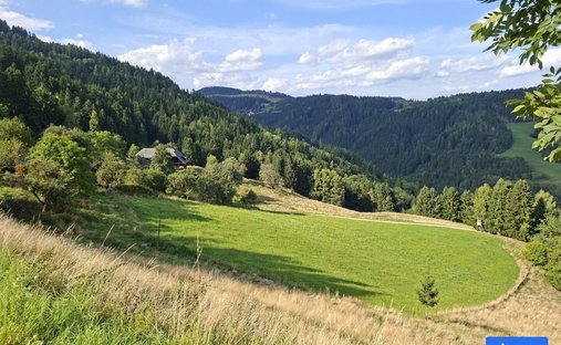 House in Sankt Andrä, Carinthia, Austria 1
