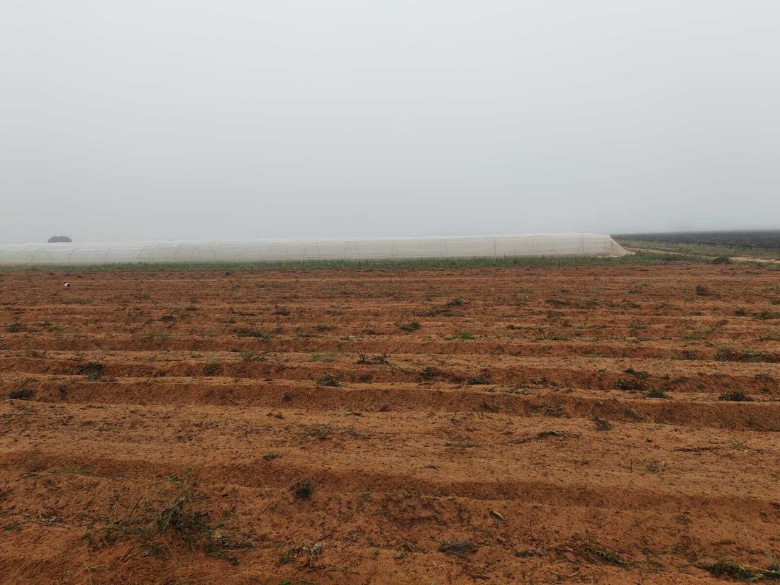 Farm Ranch in Lutzville, Western Cape, South Africa 5 - 18531619