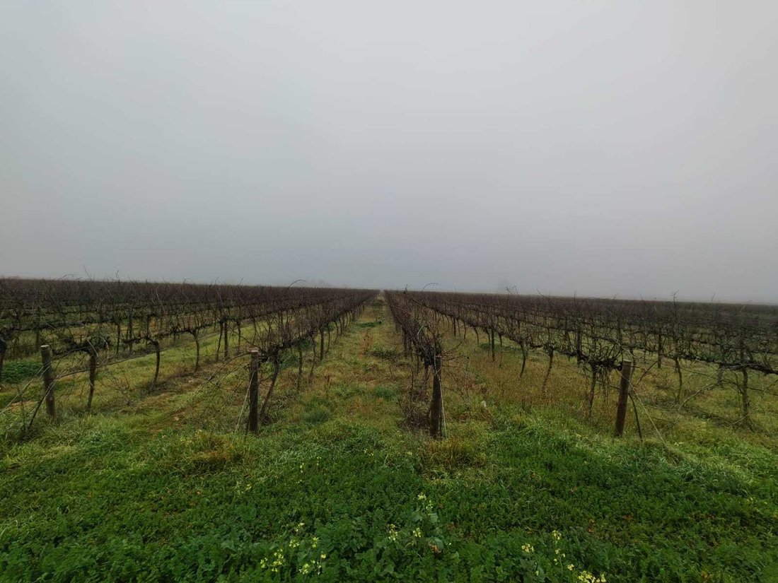 Farm Ranch in Lutzville, Western Cape, South Africa 2 - 18531619
