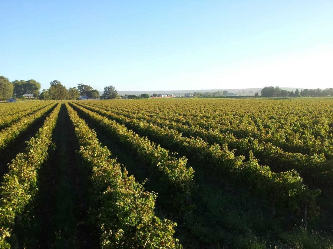 Farm Ranch in Lutzville, Western Cape, South Africa 1 - 18531619