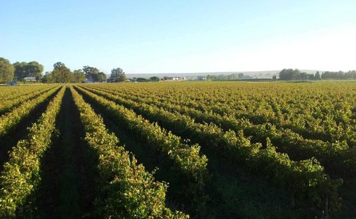 Farm Ranch in Lutzville, Western Cape, South Africa 1