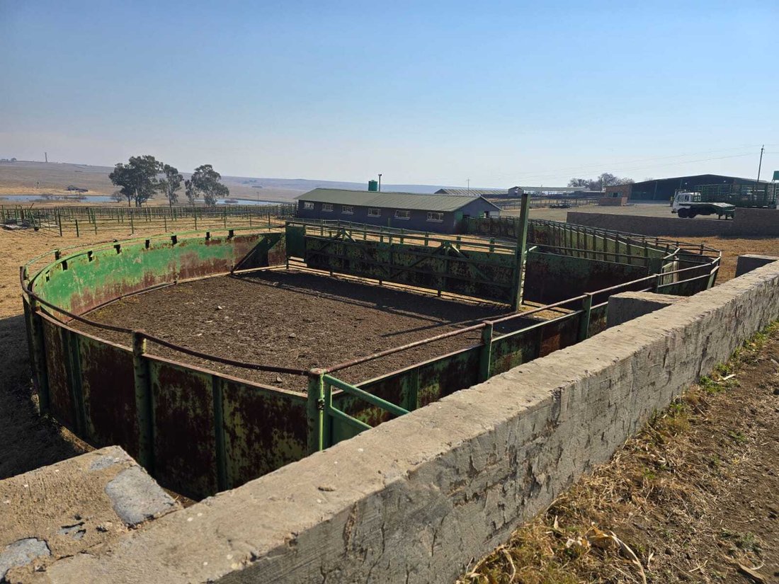Farm Ranch in Nigel, Gauteng, South Africa 4 - 18531618