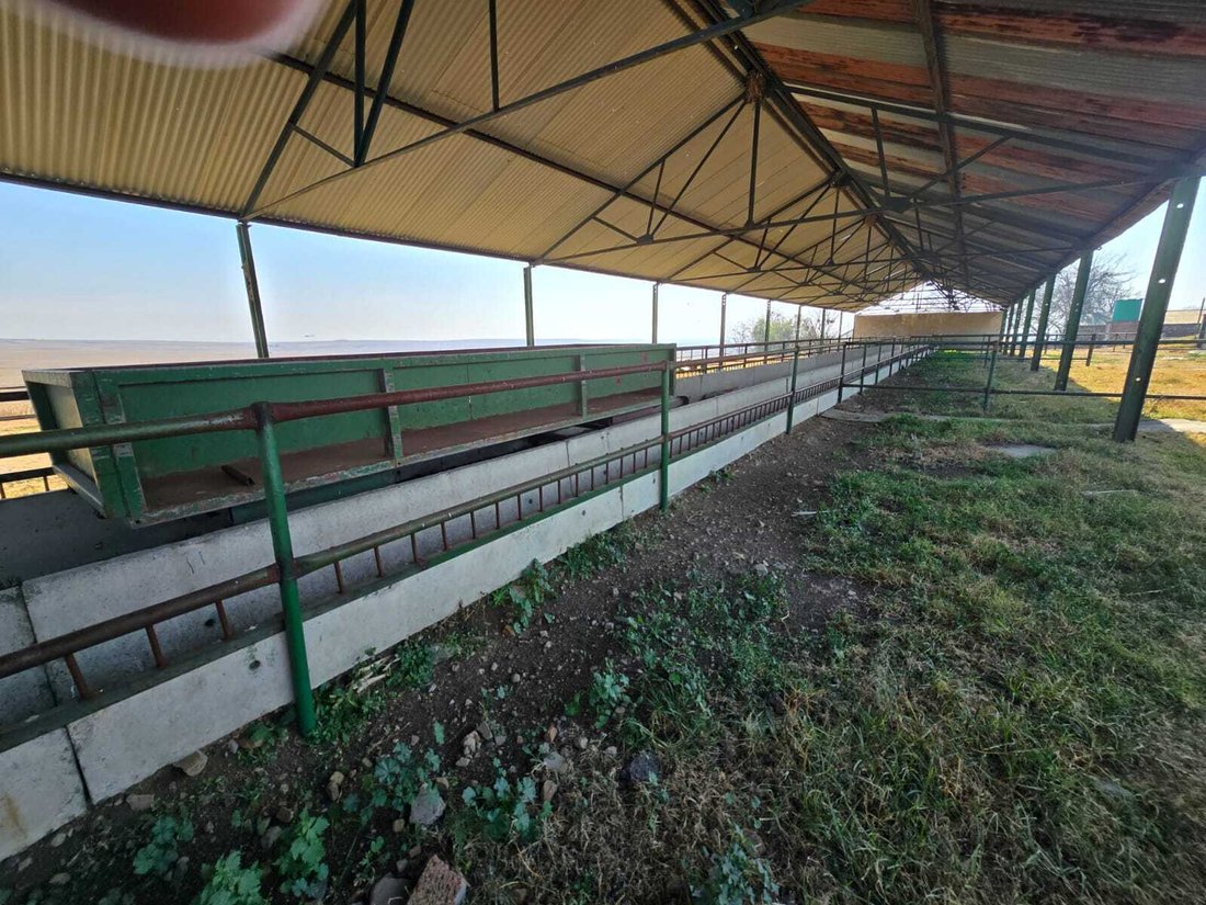 Farm Ranch in Nigel, Gauteng, South Africa 5 - 18531618