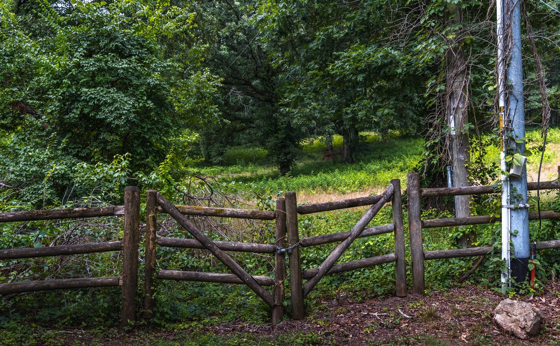 Land in Signal Mountain Drive, Tennessee, Vereinigte Staaten 1 - 18531818