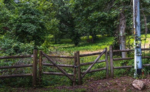 Land in Signal Mountain, Tennessee, United States 1