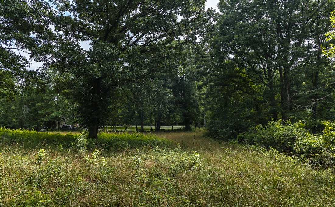 Land in Signal Mountain Drive, Tennessee, Vereinigte Staaten 3 - 18531818