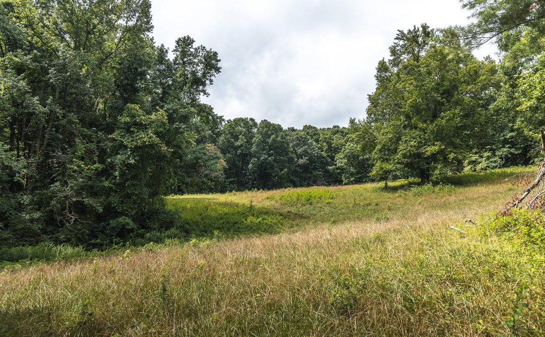 Land in Signal Mountain Drive, Tennessee, Vereinigte Staaten 4 - 18531818