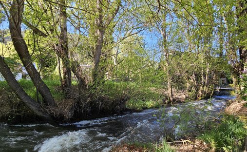 Land in San Martín de los Andes, Neuquen, Argentina 1