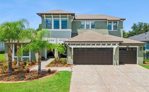 House in Land O' Lakes, Florida, United States 1