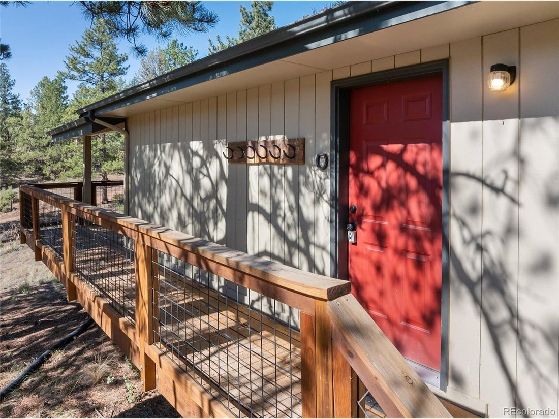 House in Lake George, Colorado, United States 3 - 18535129