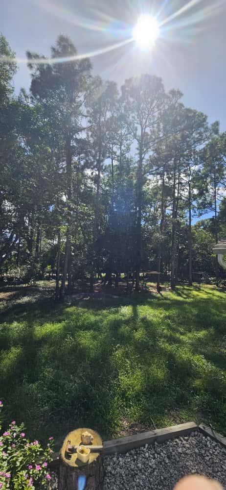 House in Jupiter Island, Florida, United States 2 - 18535152