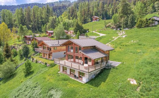 Chalet in Riddes, Wallis, Schweiz 1