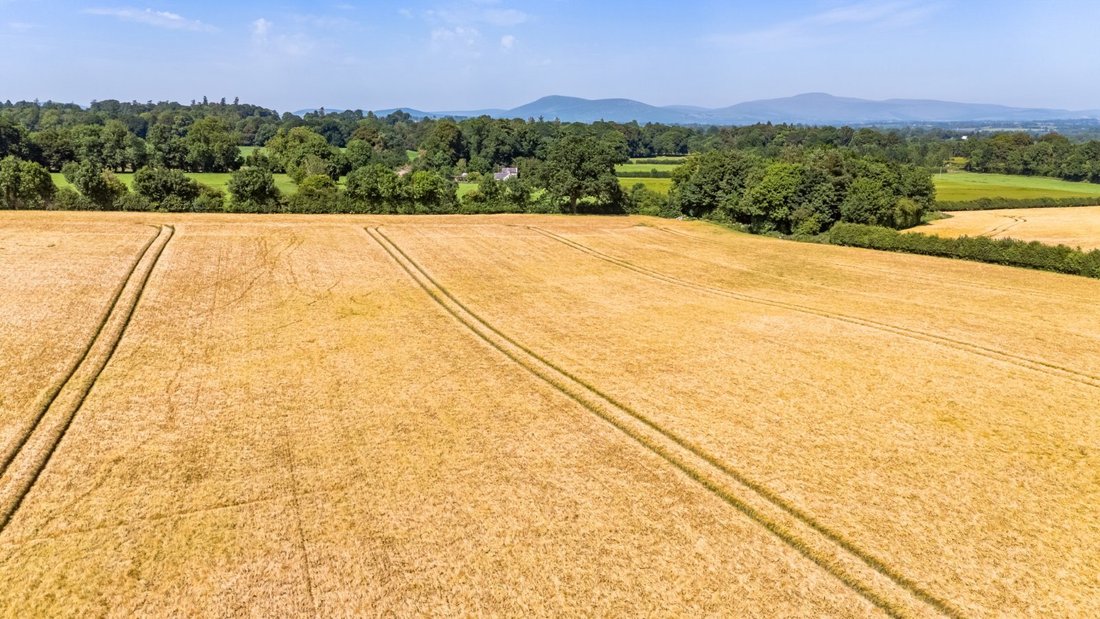 Land in Churchland, County Carlow, Ireland 3 - 18533079