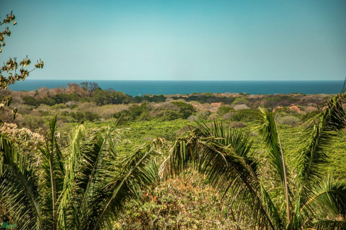 Land in Nosara, Nicoya, Costa Rica 2 - 18494540