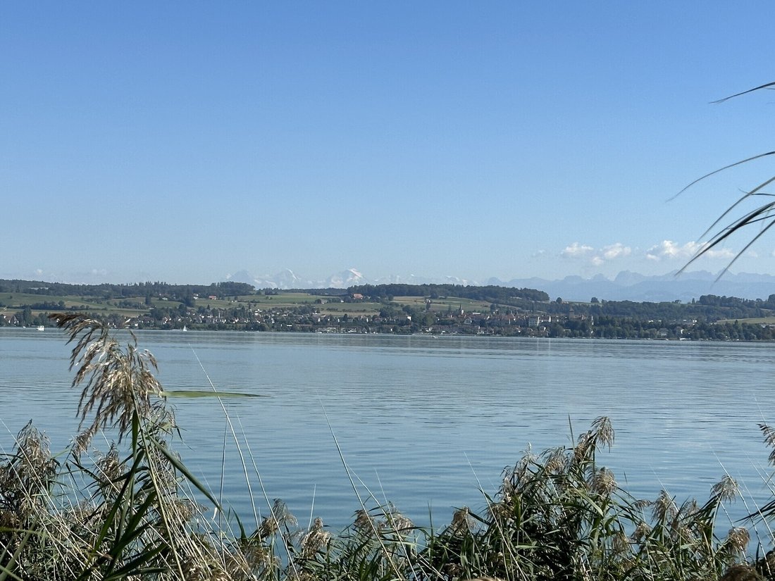 Land in Mont-Vully, Fribourg, Switzerland 2 - 18533969