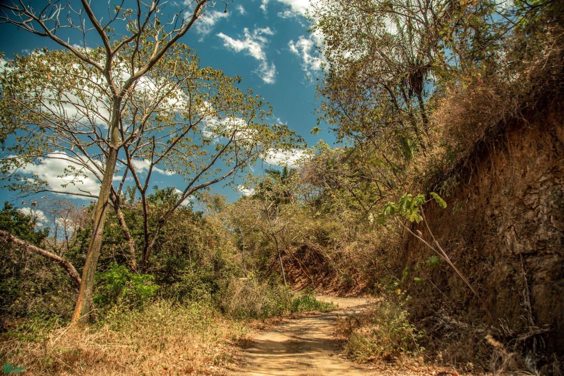 Land in Nosara, Nicoya, Costa Rica 4 - 18494540