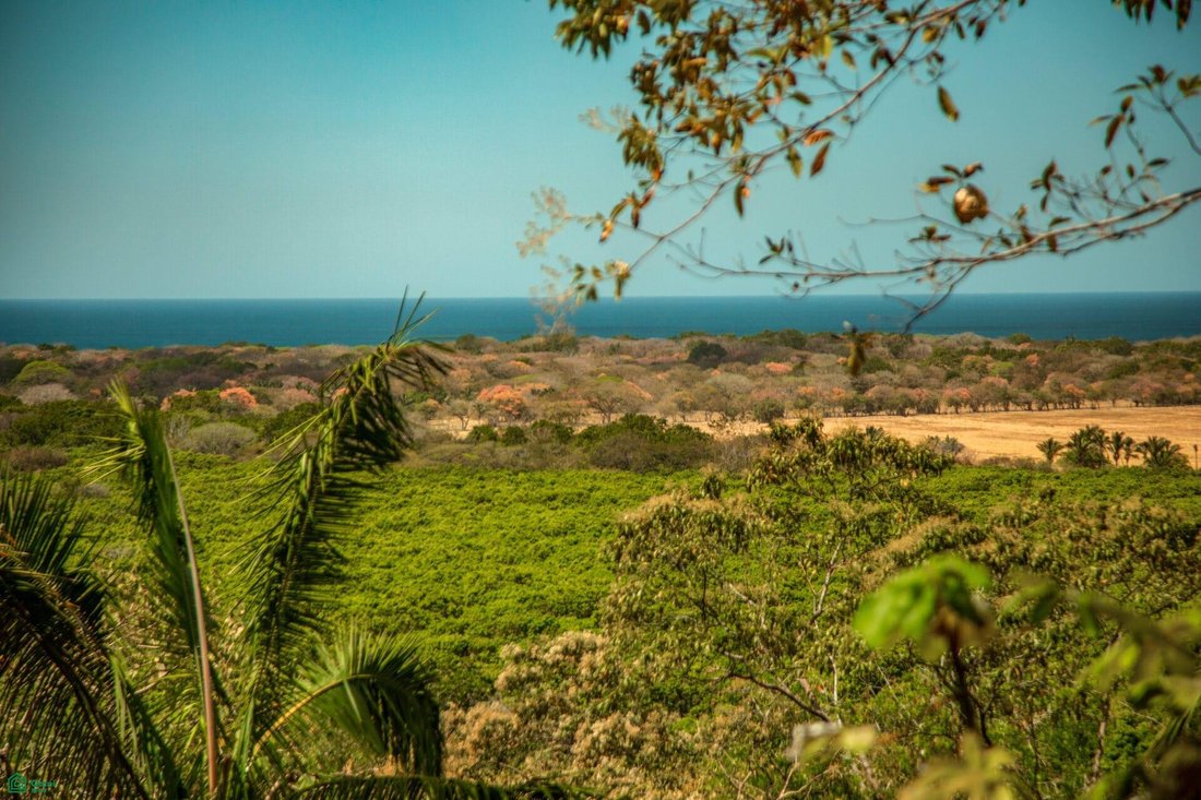 Land in Nosara, Nicoya, Costa Rica 3 - 18494540