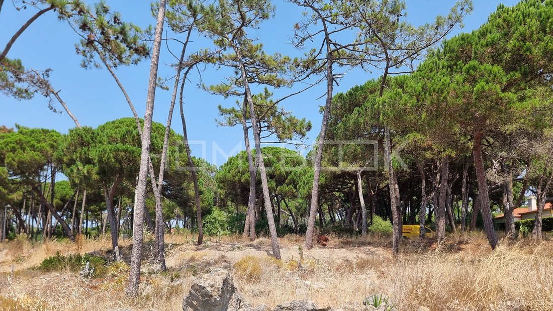 Land in Colares, Lisbon, Portugal 4 - 18536253
