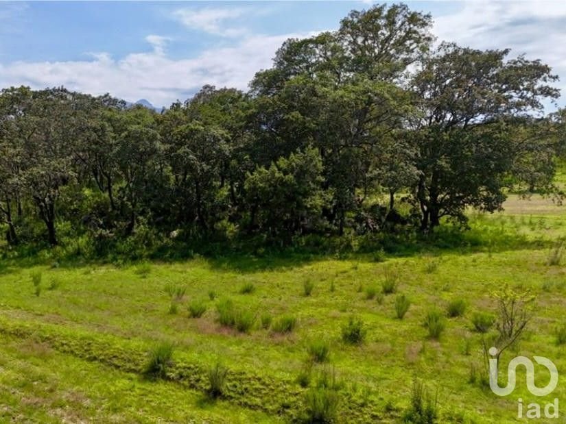 Land in Santa María Texmelucan, Puebla, Mexico 3 - 18535957
