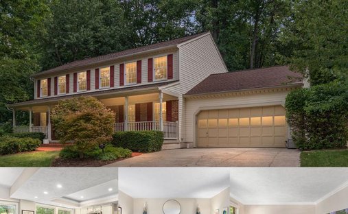 House in Reston, Virginia, United States 1