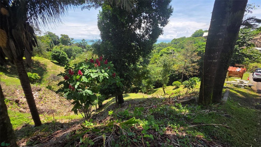 Land in Quepos, Puntarenas Province, Costa Rica 4 - 18340168