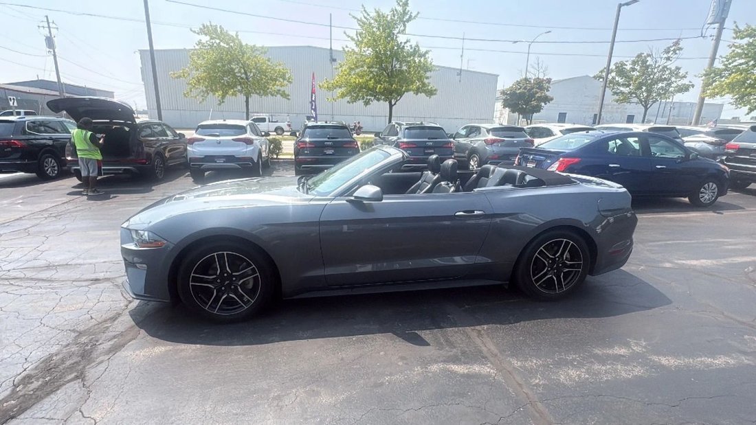 Cabriolet in Milwaukee, WI, United States 4 - 18536580
