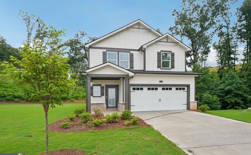 House in Cumming, Georgia, United States 1