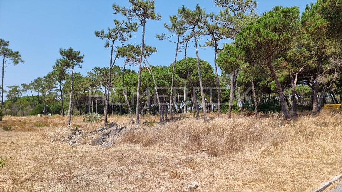 Land in Colares, Lisbon, Portugal 5 - 18536253