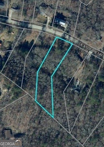 House in Flowery Branch, Georgia, United States 4 - 18535425