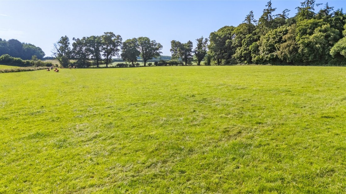House in Rathvilly, County Carlow, Ireland 4 - 18533065