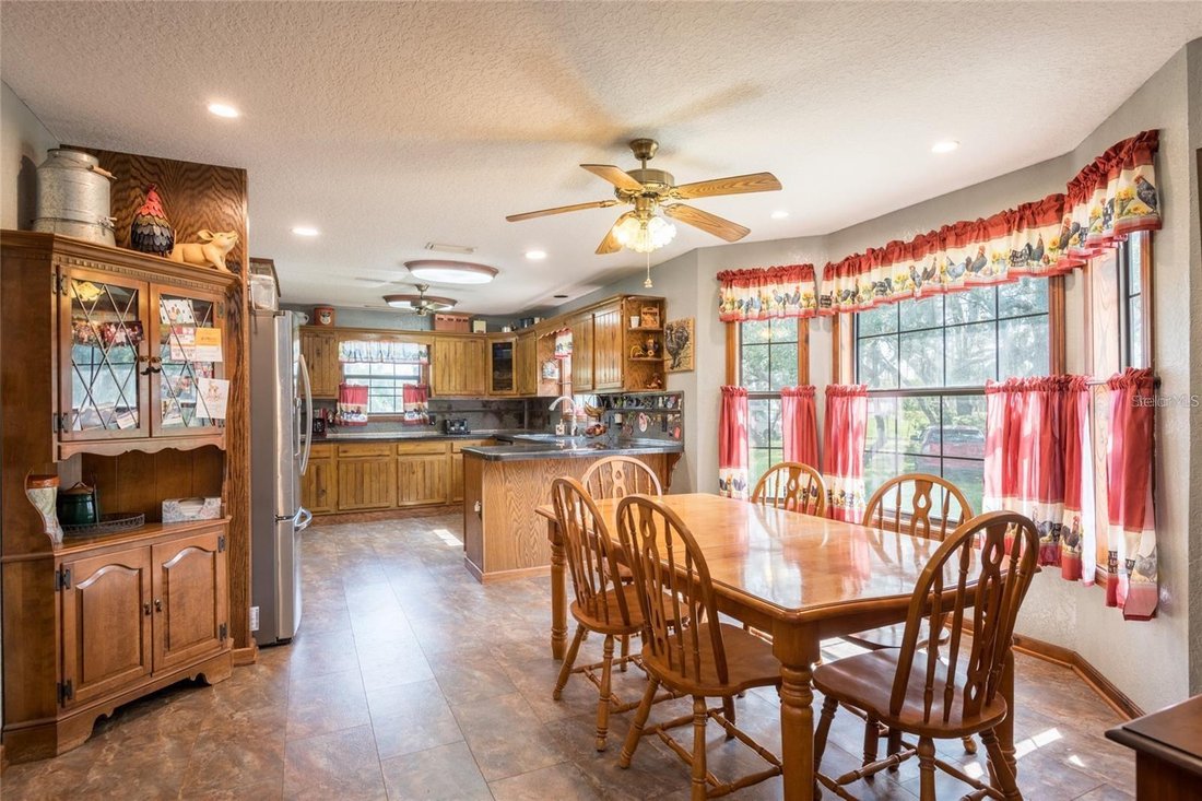 House in Land O' Lakes, Florida, United States 4 - 18534652