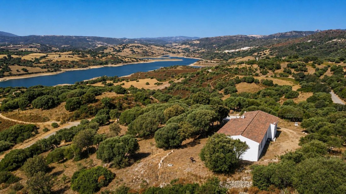 Villa à Luras, Sardaigne, Italie 4 - 18535942