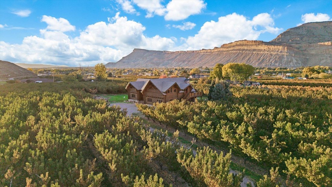 House in Palisade, Colorado, United States 4 - 18532329