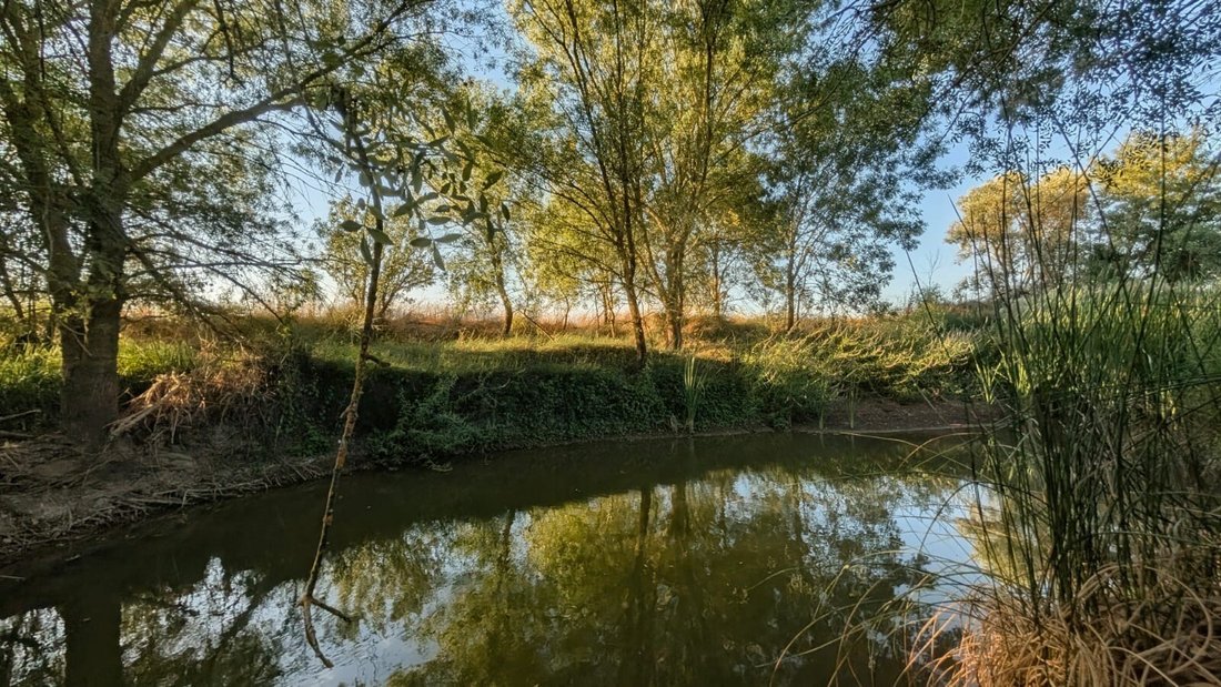 Finca in Ferreira do Alentejo e Canhestros, Beja District, Portugal 2 - 18239173