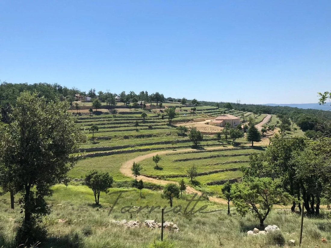 Farm Ranch in Montagut, Nouvelle-Aquitaine, France 2 - 18532246