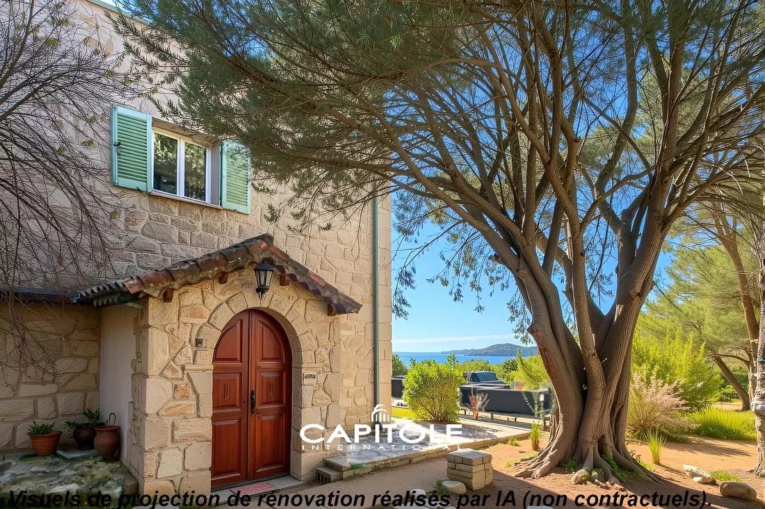 Villa in Antibes, Provence-Alpes-Côte d'Azur, France 1 - 18533419