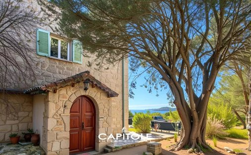 Villa in Antibes, Provence-Alpes-Côte d'Azur, France 1