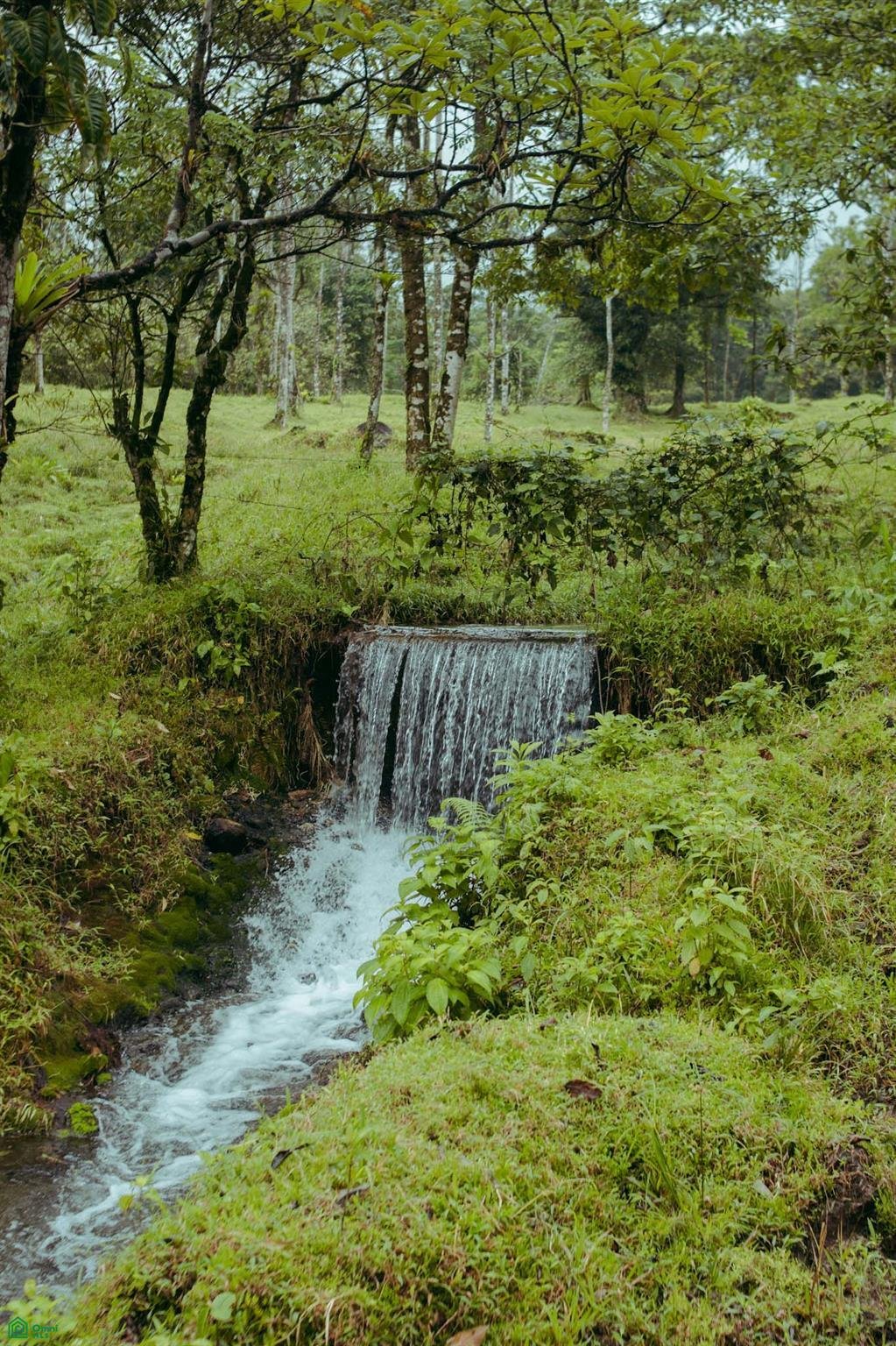 Land in Bijagua de Upala, Alajuela Province, Costa Rica 2 - 18440883