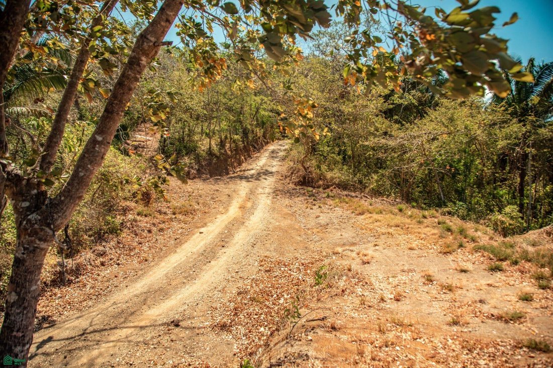 Land in Nosara, Nicoya, Costa Rica 1 - 18494540