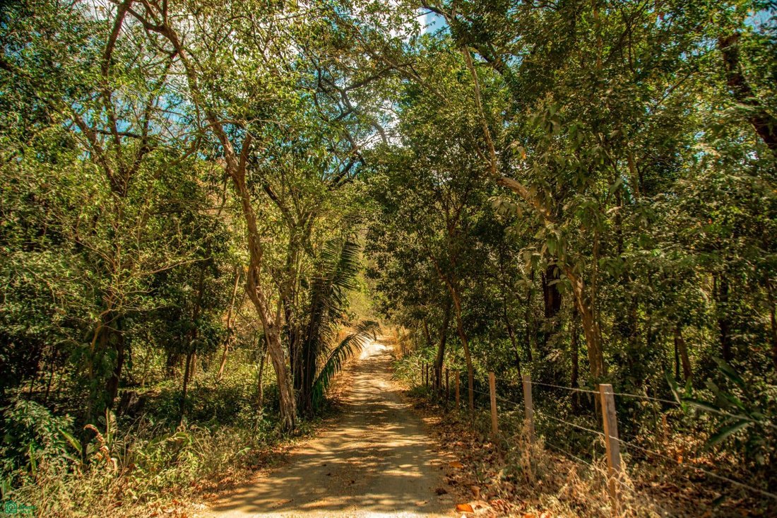 Land in Nosara, Nicoya, Costa Rica 5 - 18494540