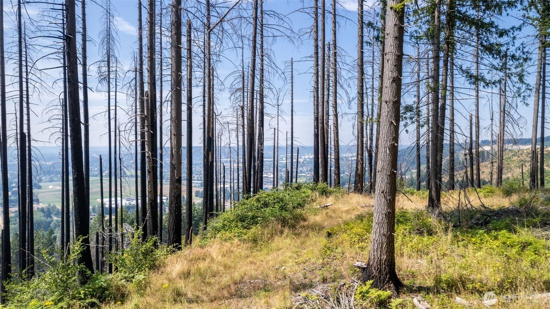 Land in Lake Tapps, Washington, United States 5 - 18535539