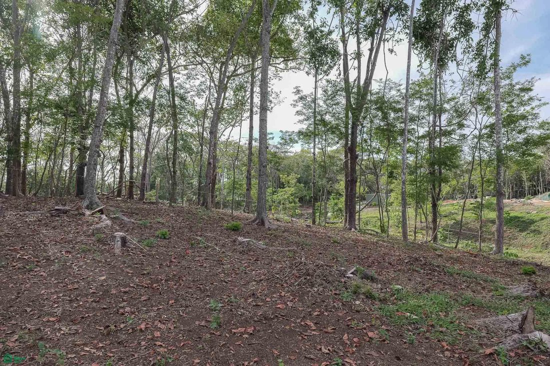 Land in Cuajiniquil, Santa Cruz, Costa Rica 4 - 18459525