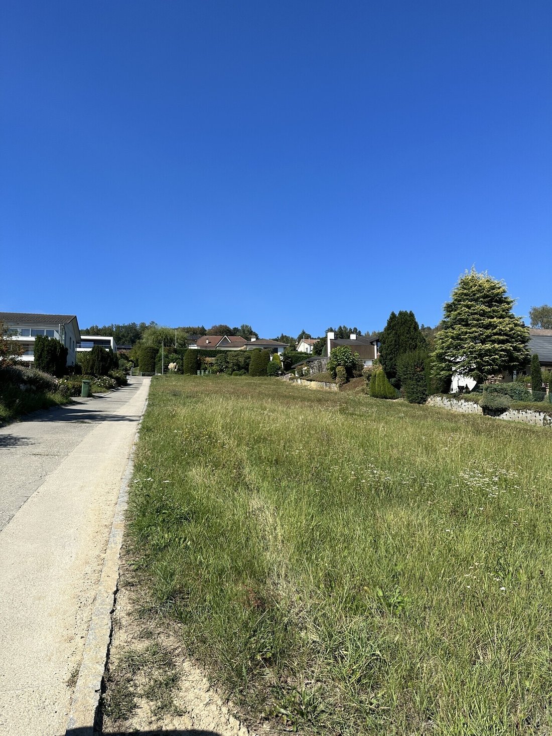 Land in Mont-Vully, Fribourg, Switzerland 5 - 18533969