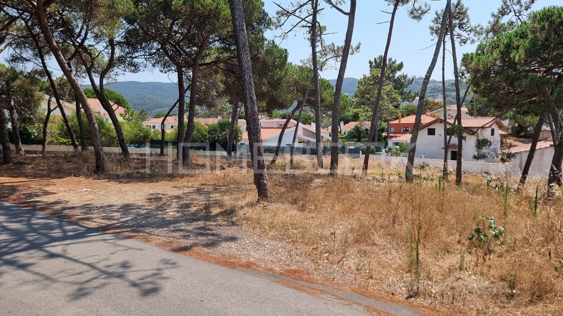 Land in Colares, Lisbon, Portugal 1 - 18536253