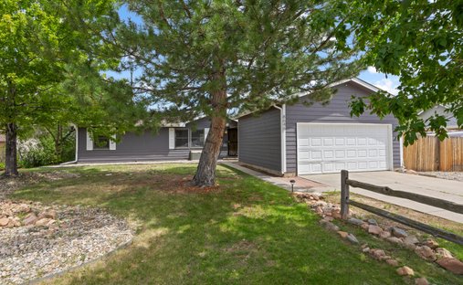 House in Columbine, Colorado, United States 1