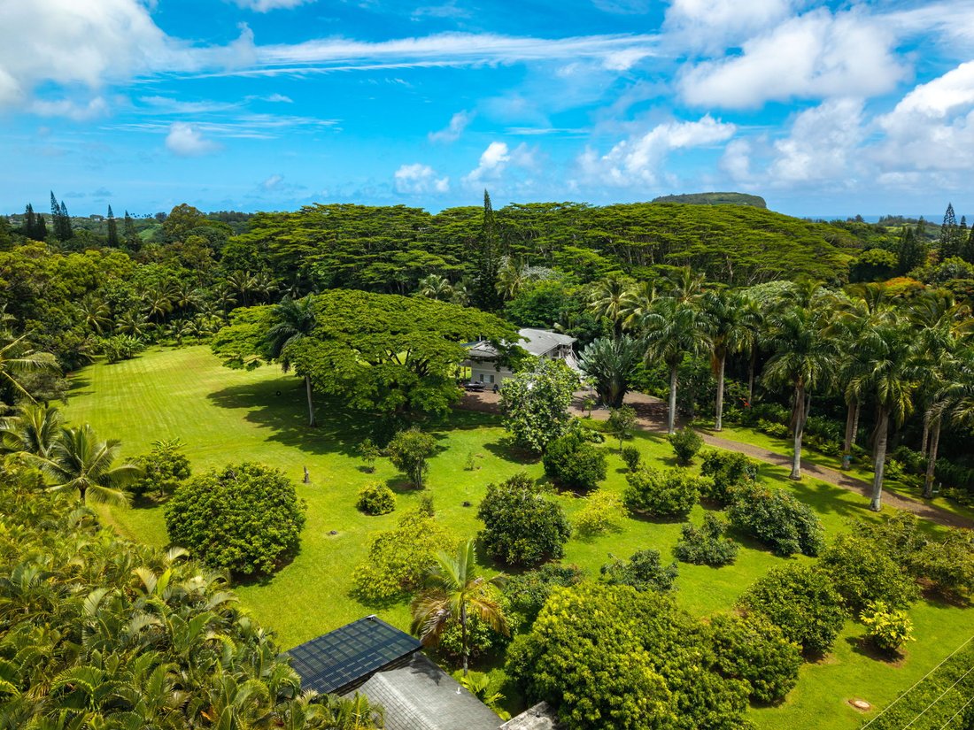 Casa en Kilauea, Hawái, Estados Unidos 3 - 18535311