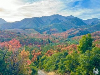 House in Springville, Utah, United States 3 - 18535093